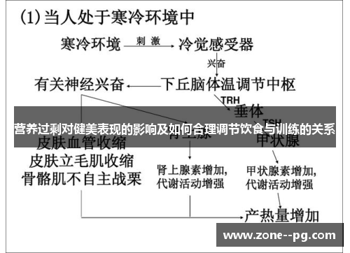 营养过剩对健美表现的影响及如何合理调节饮食与训练的关系